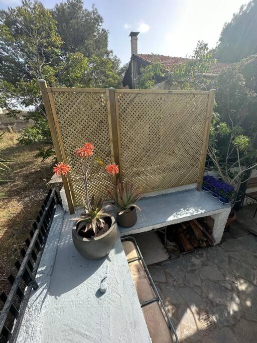 Caja De Anthea Βίλα Αρτέμιδα Εξωτερικό φωτογραφία