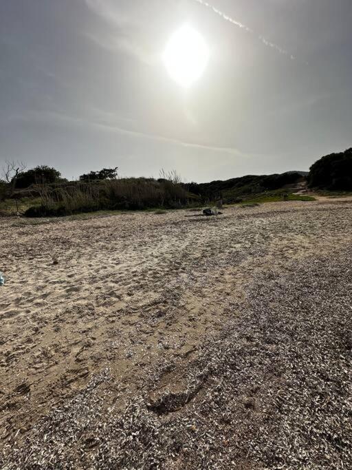 Caja De Anthea Βίλα Αρτέμιδα Εξωτερικό φωτογραφία