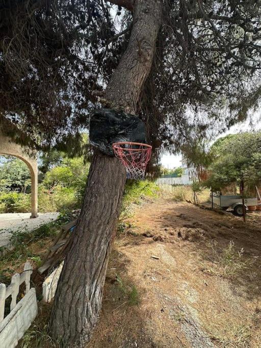 Caja De Anthea Βίλα Αρτέμιδα Εξωτερικό φωτογραφία